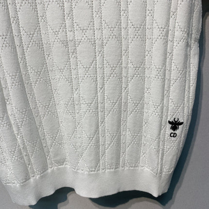 DIOR 26S SHORT-SLEEVE POLO SWEATER 1213